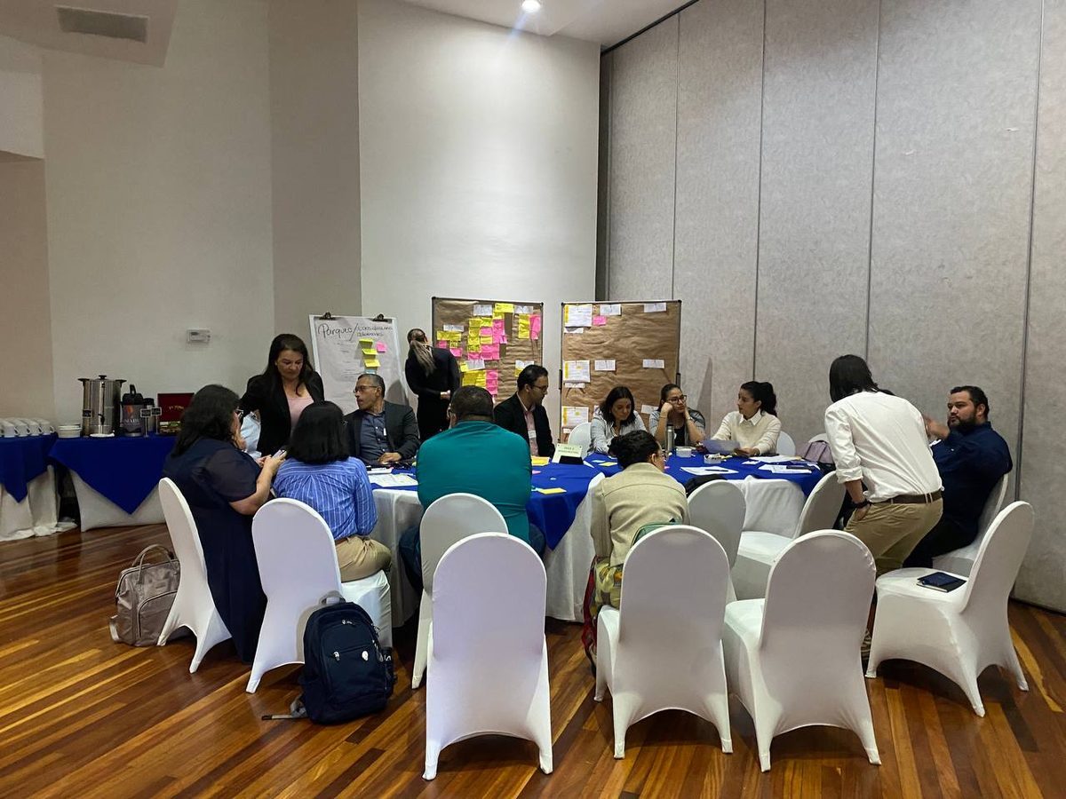 Redacción de las Contribuciones Nacionalmente Determinadas de Costa Rica en su actualización 2025-2035