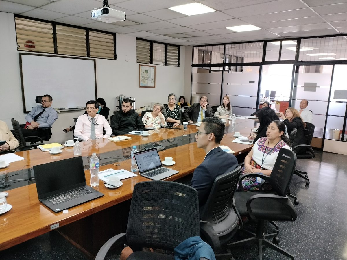 Evaluación Financiera de la Estrategia a Largo Plazo de Guatemala: Uso del Panel Financiero para Desarrollar Indicadores para la Toma de Decisiones