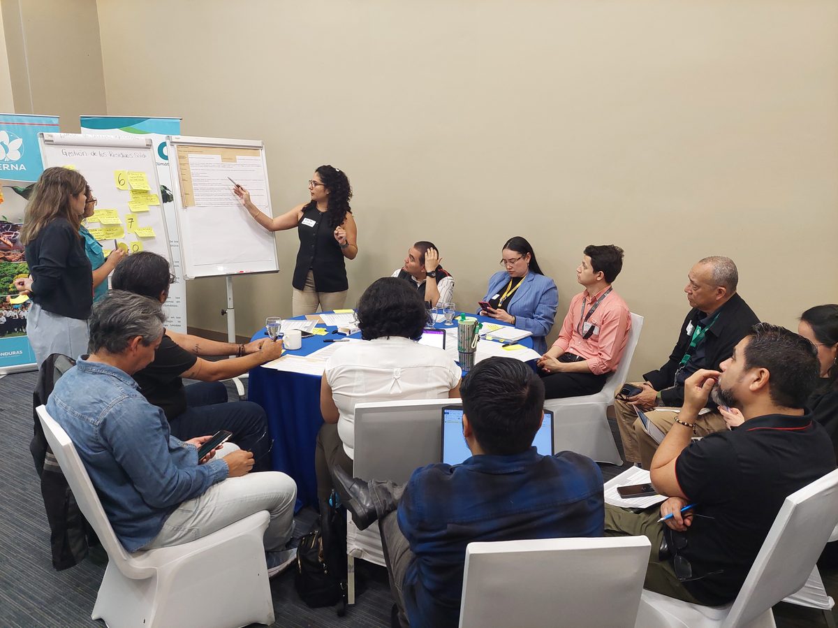 Apoyo para la actualización de la NDC 3.0 alineada a la Estrategia a Largo Plazo para el Desarrollo Resiliente y Bajo en Emisiones de Honduras