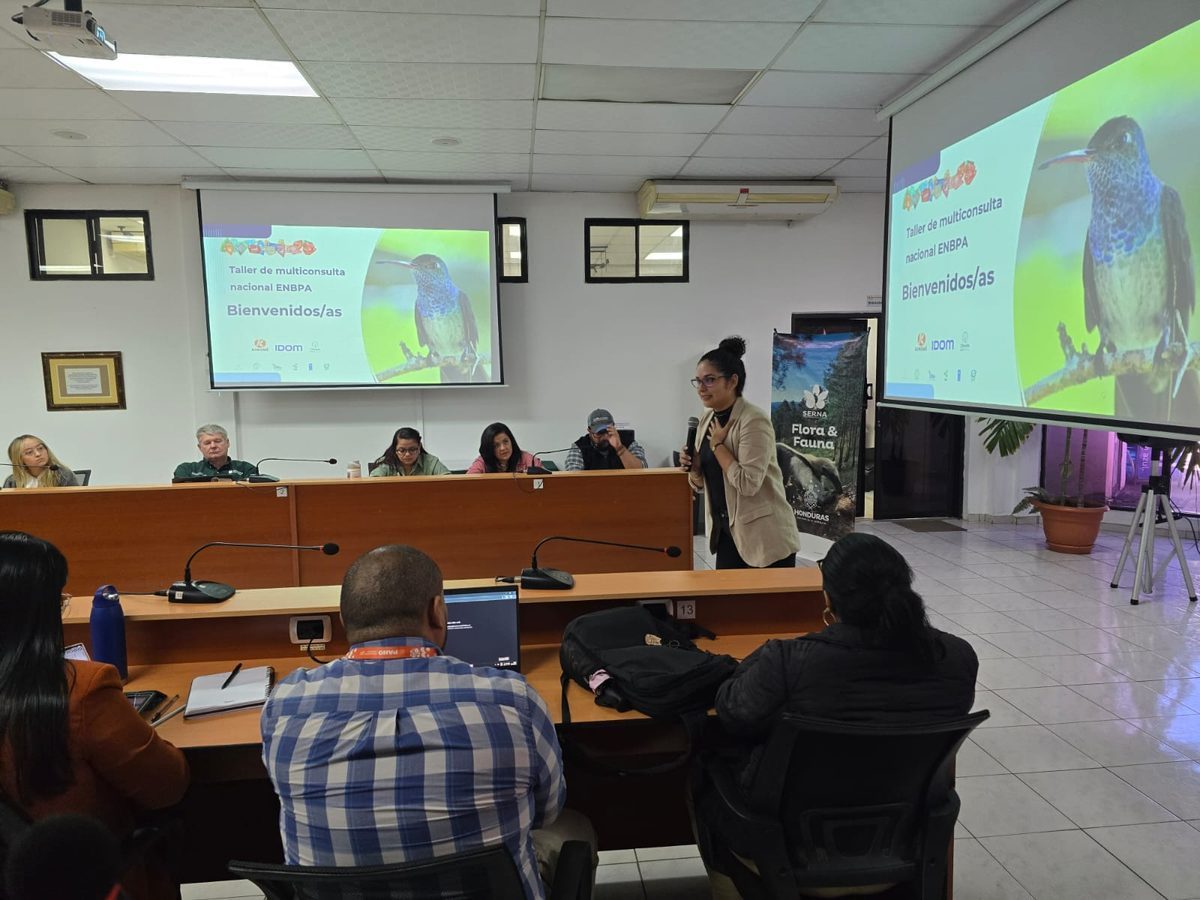 Actualización de la Estrategia Nacional de Biodiversidad y Séptimo Informe ante la Conferencia de las Partes del CDB